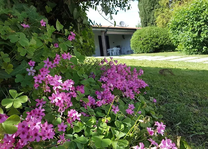 Italsol Riai 3* Moniga del Garda